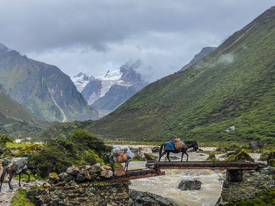 Trekking in Himalayas