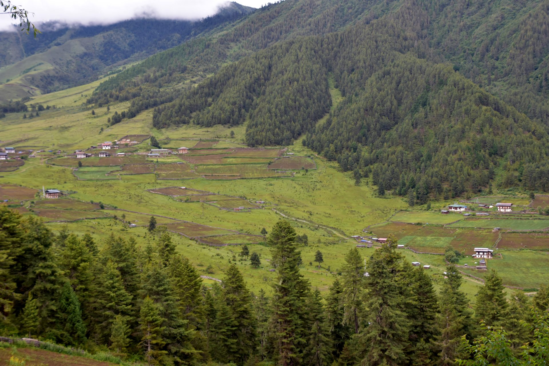 Wangchuck Guesthouse