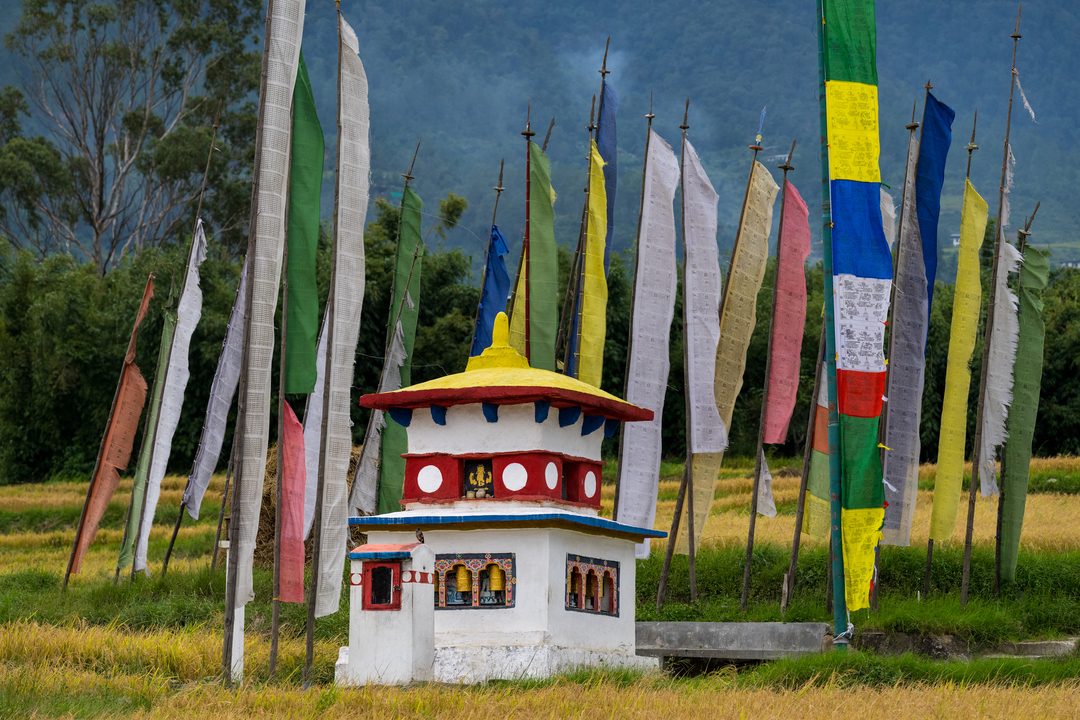Punakha Valley Cultural Tour