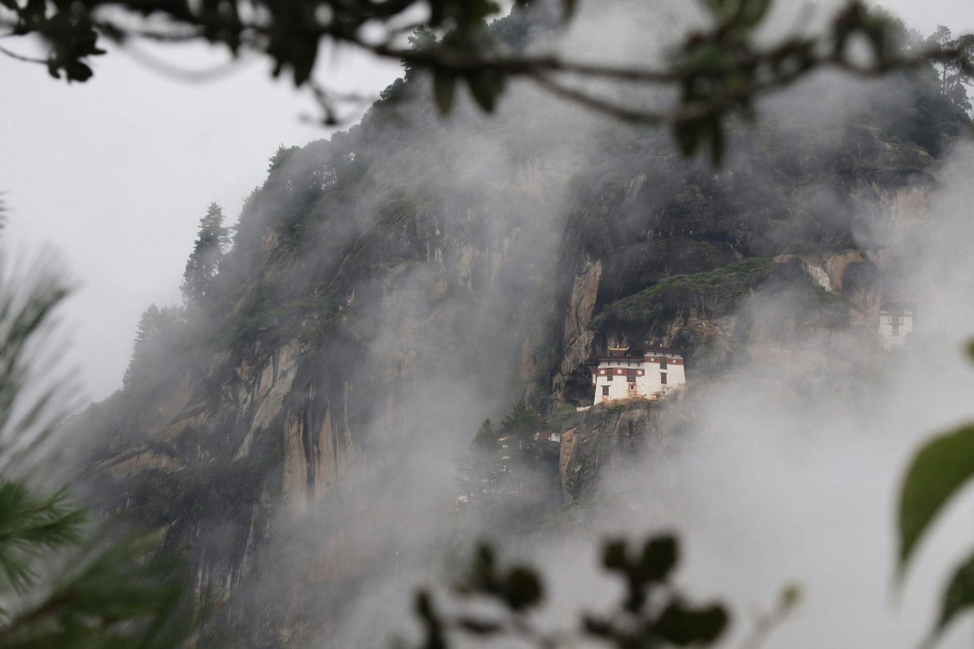 Paro
